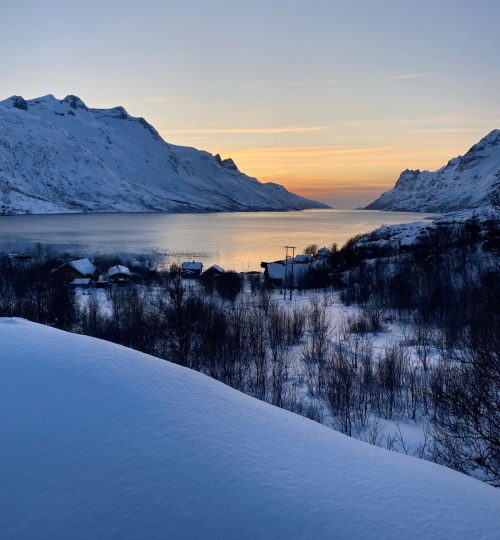 WhatsApp Image 2025-05-26 at 21.05.23_a7c0e97e